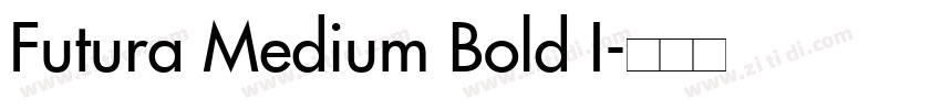 Futura Medium Bold I字体转换